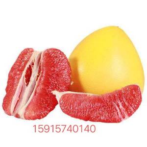 红心柚广东梅州三红蜜柚市场批发产地直销电商合作一件代发