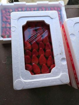 唐王镇甜宝草莓基地大量上市，好果好价，支持定做