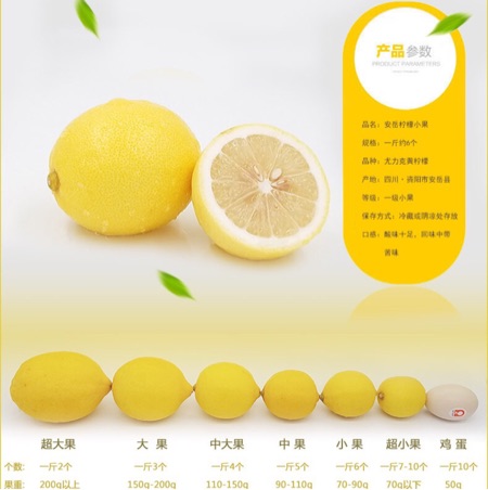 柠檬柠檬干大量供应 四川安岳柠檬果园现摘 欢迎咨询