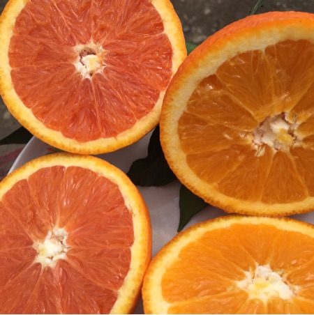 供应脐橙,自家种的，不催熟，不打蜡，不染色，现栽现发，老少皆
