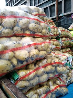 牡丹江宁安地区尤金885土豆代办经纪人，诚信为本