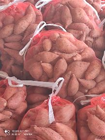 供应红薯,年前7月至年后6月长期供货