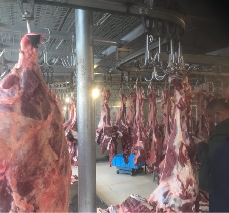 新疆牛肉 批发 价格优惠 可整只 可分割