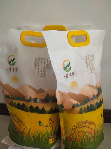朝阳小米 朝阳特产  中国国家地理标志产品