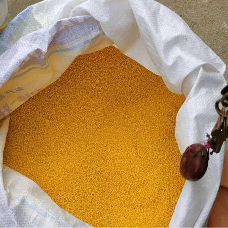 自产农家黄金小米
