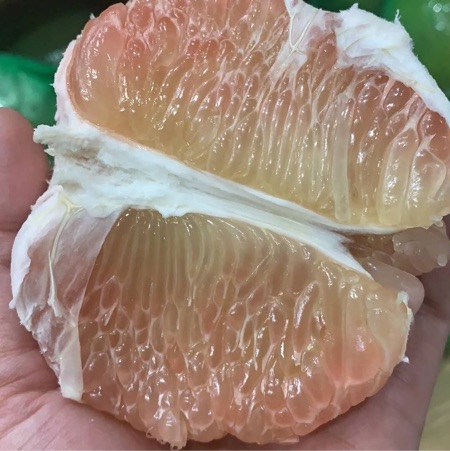 泰国进口青柚 水分充足 粒粒爆汁 纯甜无渣