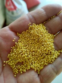 山地优质新小米，色黄味香黏度高，地地道道农家米