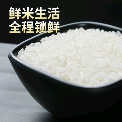 五常市知农者水稻种植专业合作