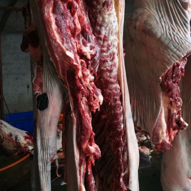新鲜驴肉批发价格优惠山东临沂，货发全国