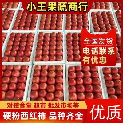 连云港硬粉西红柿，果型饱满颜色靓丽耐运输￥0.5