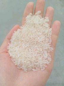 丝香，百香生产大米批发厂家