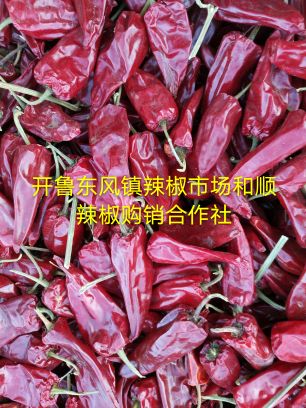 供应内蒙北京红干椒，花皮