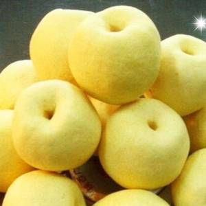 山西忻州代县出售优质酥梨