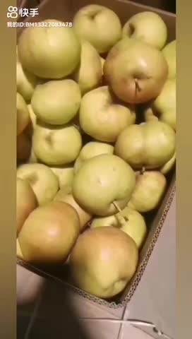 内蒙古特产苹果梨，梨中之王，苹果梨苹果梨苹果梨