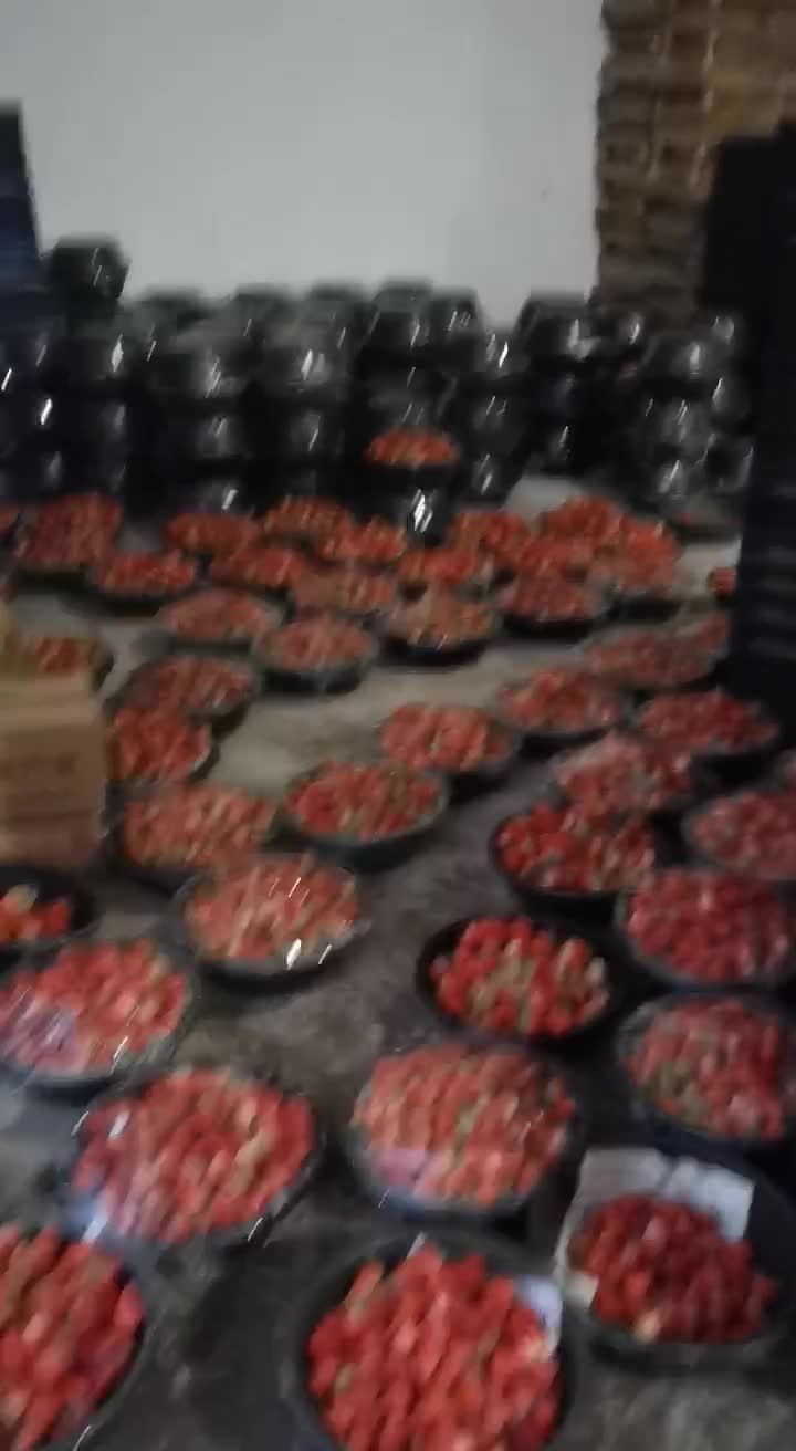 泗县万亩草莓园，原产地直发，红颜奶油草莓大量供货