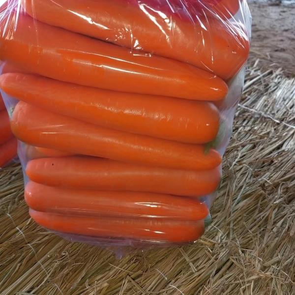 三红胡萝卜，商超品质，大量有货，货源稳定，整车发