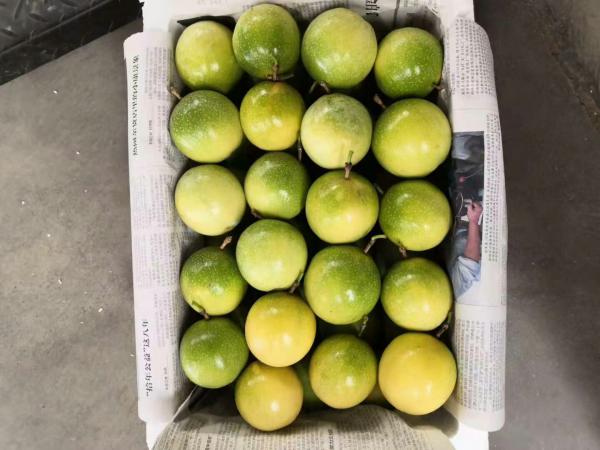 赣南百香果一级鸡蛋果百香果黄金果新鲜水果热带水果农家特产