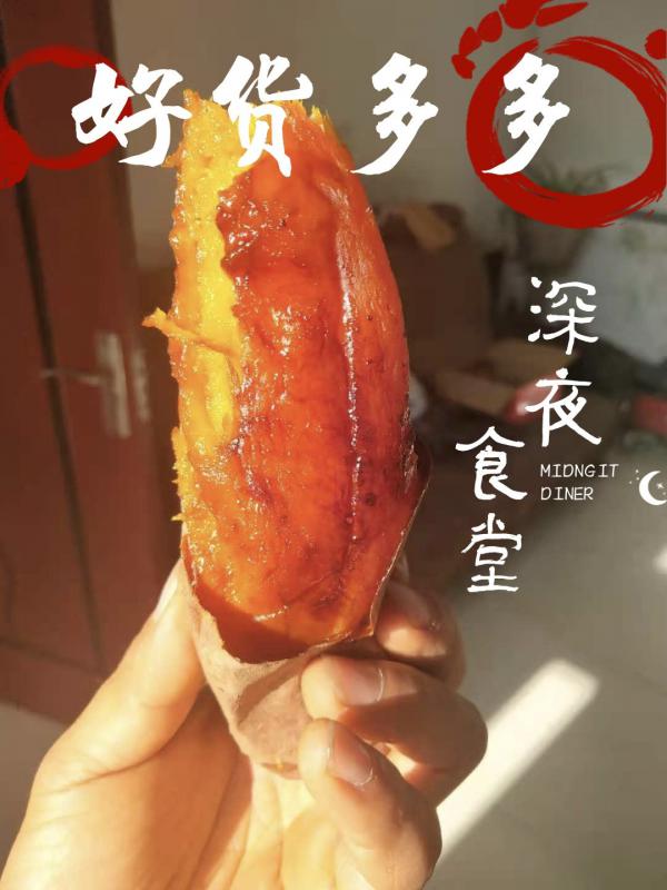 红薯产地，河北雄县正宗烟薯25，上乘品质