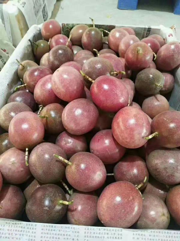赣南百香果一级鸡蛋果百香果黄金果新鲜水果热带水果紫果特产