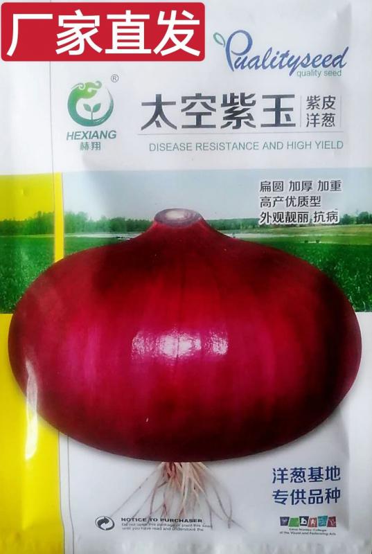 杜绝假货洋葱种子扁圆加厚高产紫皮果大耐储运膨果快200g