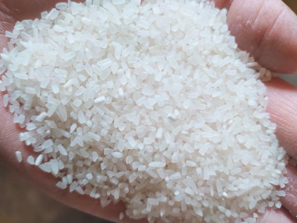 碎米，酒碎米桂林市大量有售50斤包100斤包都可选择