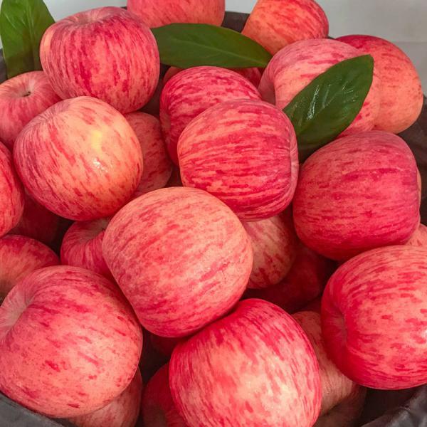 苹果陕西洛川红富士苹果80直径净果12斤装一件代发