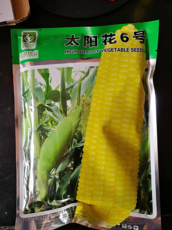 太阳花6号甜玉米种子，水果玉米种子棒子大味道甜皮薄无渣，