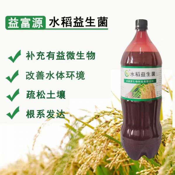 水稻营养液水田植物营养液促生长少病害产量好
