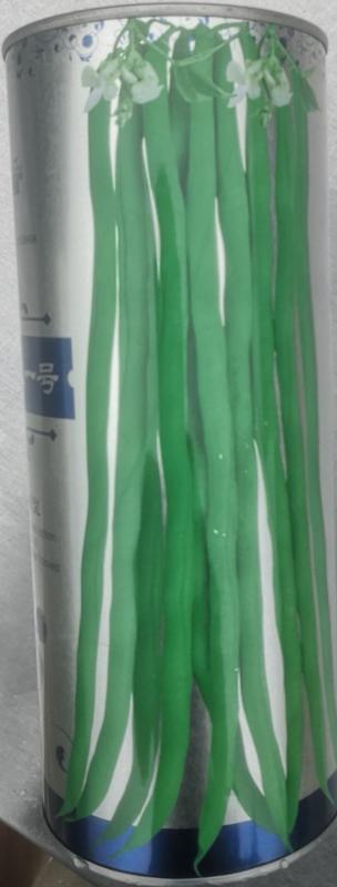 杜绝假货架豆种子中早熟无纤维顺直翠绿色鲜嫩高产长荚而密