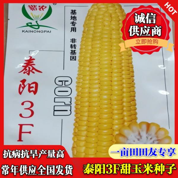 厂家直销 泰阳3F甜玉米种子 400克 常年供应 全国发货