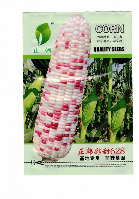 正韩彩甜糯628 彩糯玉米种子 200克 厂家直销 全国发货