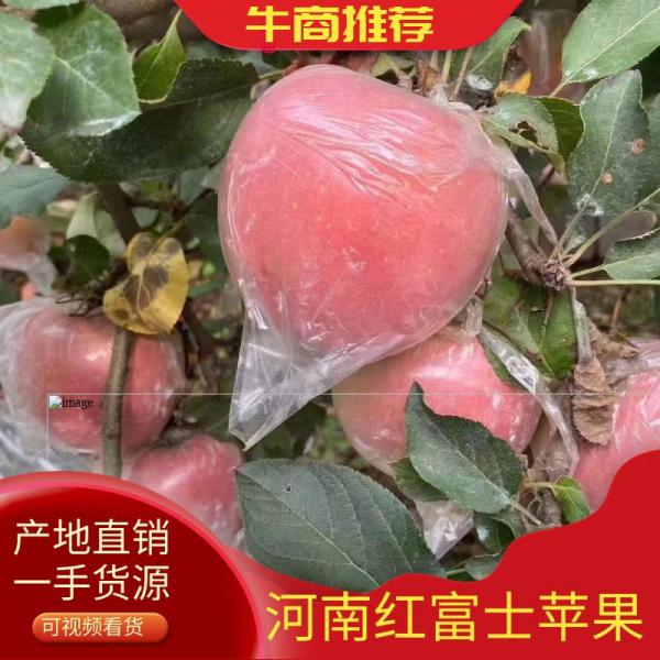 【推荐】红富士苹果 个大口感脆甜膜袋 一手货源 品质保证
