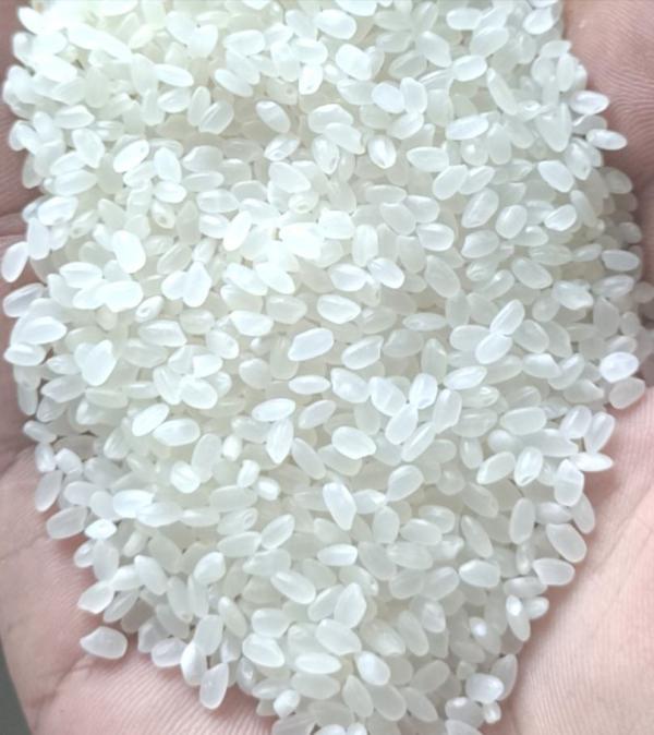 大米东北珍珠米小粒香米
