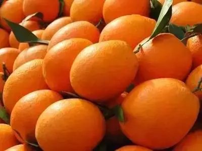 赣南脐橙纽荷尔脐橙鲜果（纯有机种植，糖份高水份足化渣）