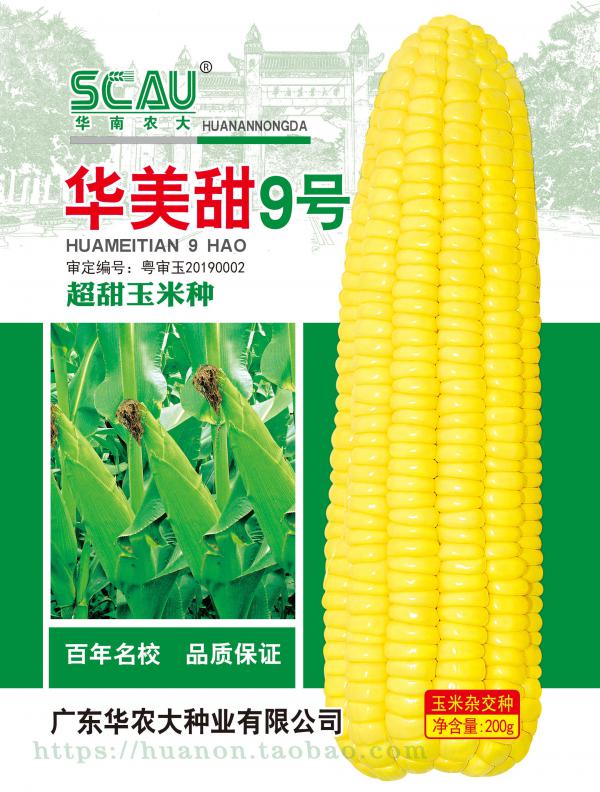 华南农业大学华美甜9号大棒高产杂交甜玉米种子200克