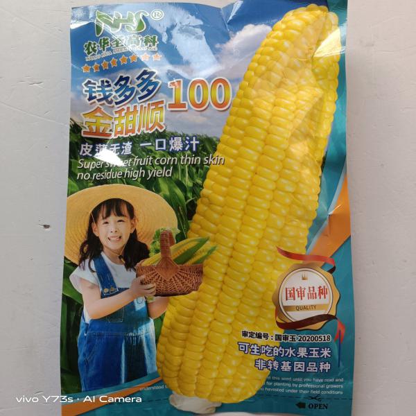 金顺甜钱多多100水果玉米种子超甜品种国审定种子
