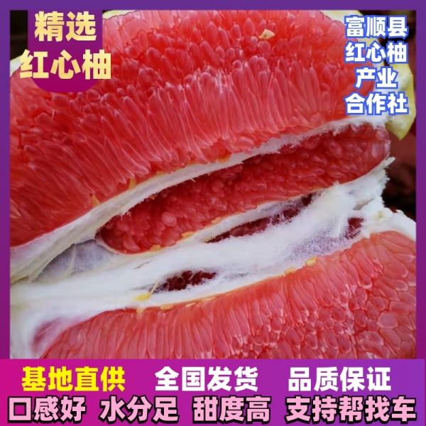 精品老树红心柚 大量上市 自己家农场600亩基地全国发货