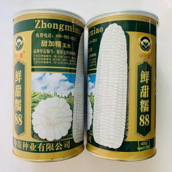 鲜甜糯88白糯玉米种子罐装400克种子