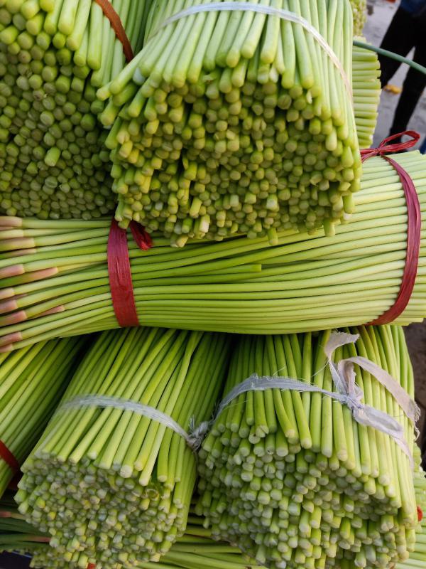 新鲜应季蔬菜红帽蒜薹 基地直发货源充足可全国发货