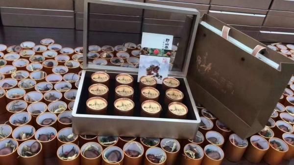 野山参小罐茶 追求完美品质，大量批发，全国招代理