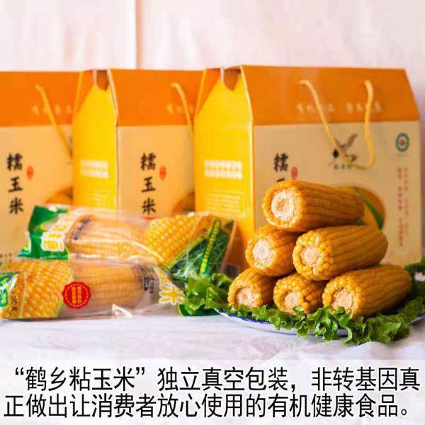 粘玉米一件代发吉林白城黑黄花糯玉米 产区直供欢迎选购