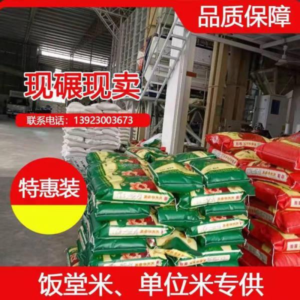 籼米油粘米50斤单位学校单位饭堂米批发25kg厂家直批