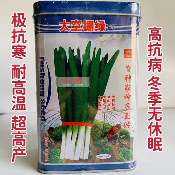 太空棚绿韭菜种子 抗病抗寒耐热高产韭菜种籽叶片宽大无休眠