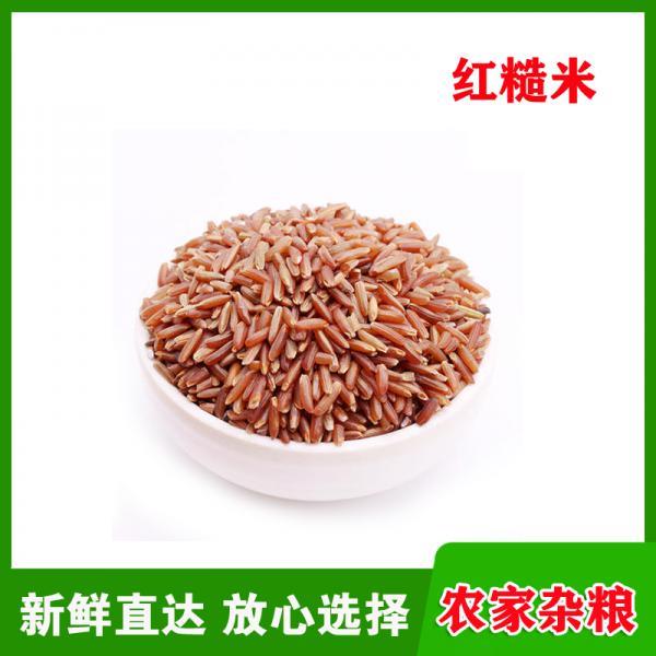 广东化州当地农家种植红糙米五谷杂粮健康胚芽米