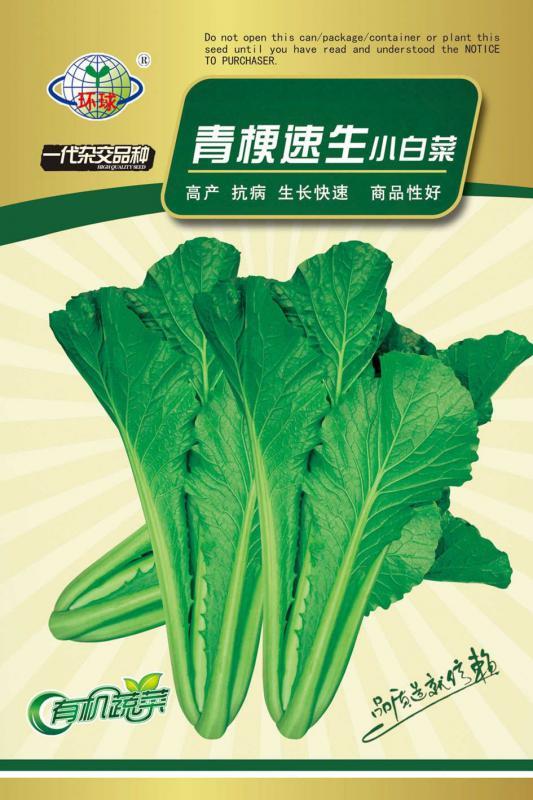 青梗菜种籽早熟速生青菜环球小白菜菜子种四季播种包邮