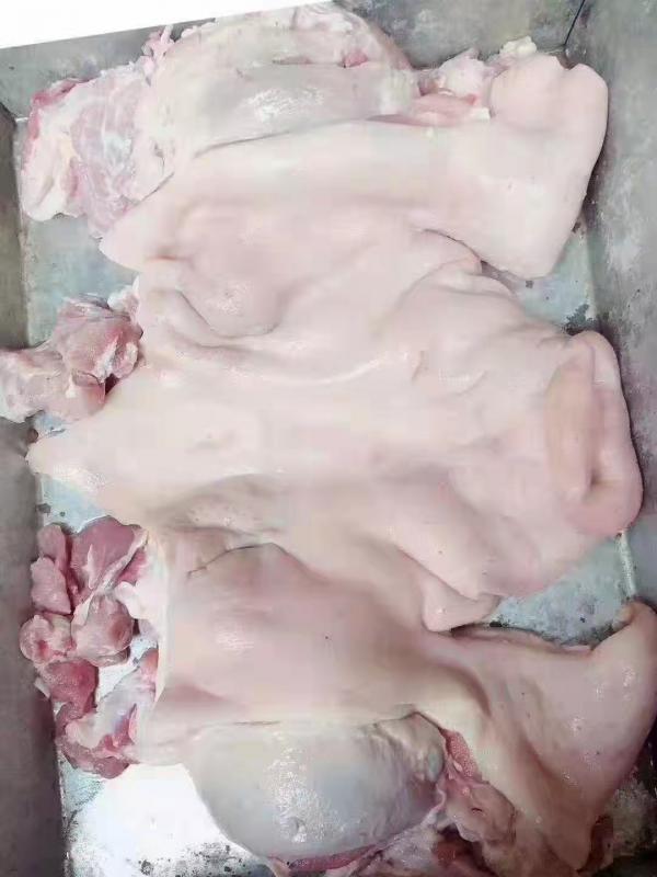 猪头 冻猪头厂家直供  量大从优 质量保证