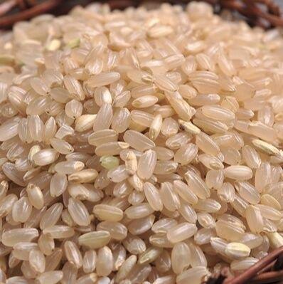 大量批发糙米 黄糙米 东北糙米 价格便宜 各种杂粮批发