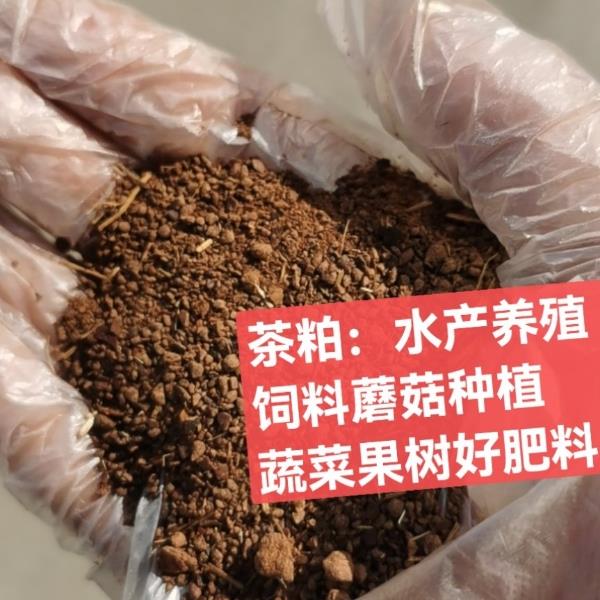 低价出售茶粕和茶麸800吨河北省总经销