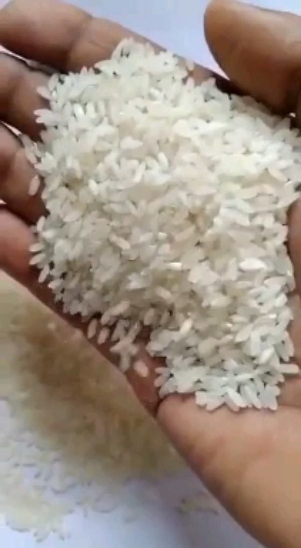 泰国、越南、缅甸等粳米、糙米、碎米大量供应