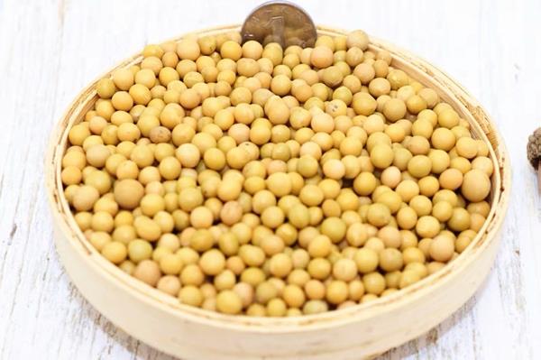 芽豆、缓小粒、黑龙江省寒地小粒黄豆